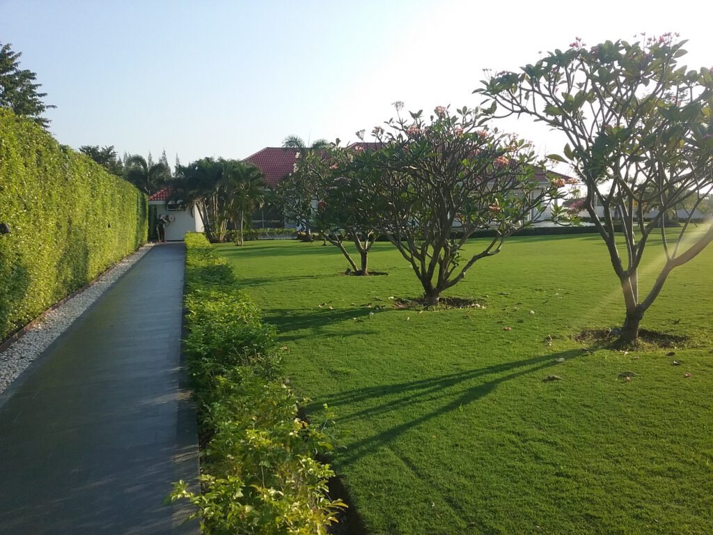 จัดสวนและสนาม