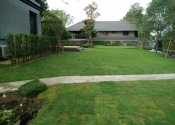 Portfolio 1669353853628