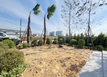 Portfolio 1a95d0840b84d181b75faf7213cb209e24ba58d5