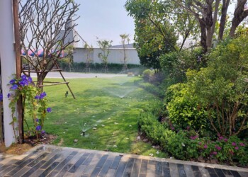 Portfolio 5643a3fad9f32e96f651b1962851654edb4a1174