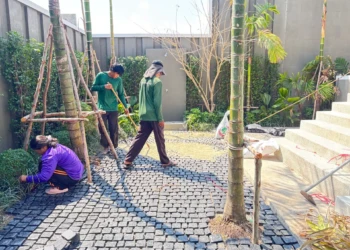 Portfolio eeb9a17340a836db07dd20d842faad18d6a206a1